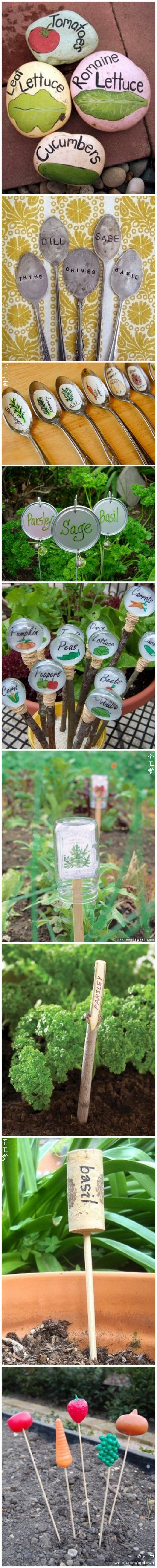 Illustration de l'article : Vous en avez marre de confondre vos plants ? Ces id&eacute;es pour les marquer devraient vous int&eacute;resser !