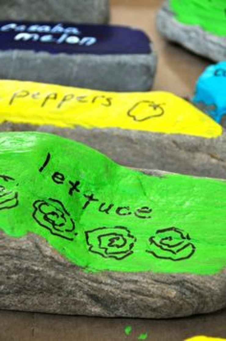 Illustration de l'article : Vous en avez marre de confondre vos plants ? Ces id&eacute;es pour les marquer devraient vous int&eacute;resser !