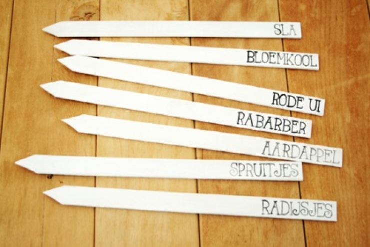 Illustration de l'article : Vous en avez marre de confondre vos plants ? Ces id&eacute;es pour les marquer devraient vous int&eacute;resser !