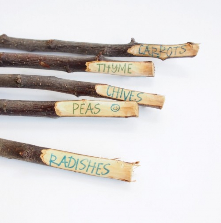 Illustration de l'article : Vous en avez marre de confondre vos plants ? Ces id&eacute;es pour les marquer devraient vous int&eacute;resser !