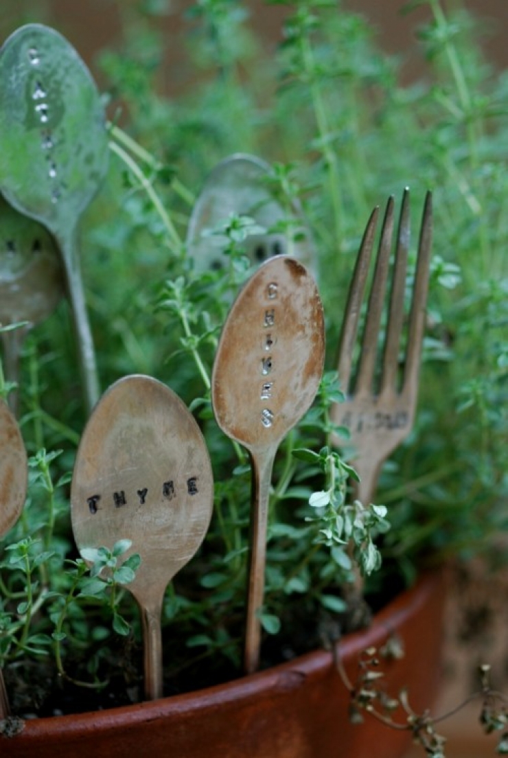 Illustration de l'article : Vous en avez marre de confondre vos plants ? Ces id&eacute;es pour les marquer devraient vous int&eacute;resser !
