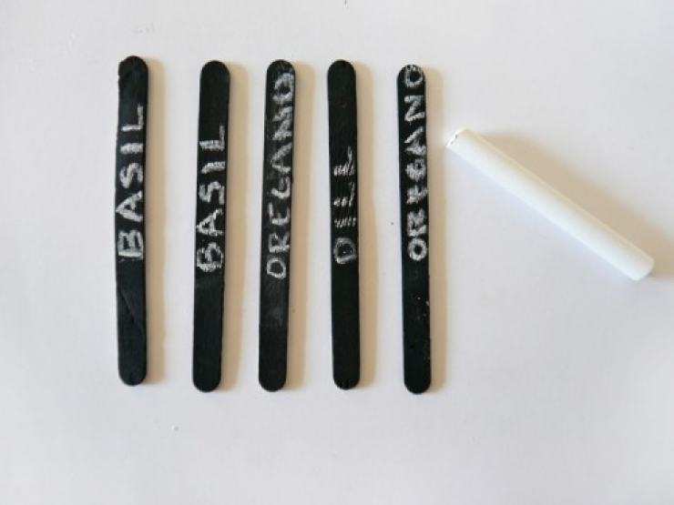 Illustration de l'article : Vous en avez marre de confondre vos plants ? Ces id&eacute;es pour les marquer devraient vous int&eacute;resser !