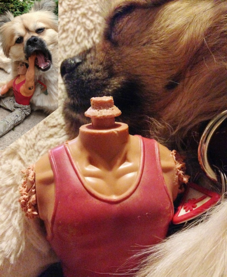 Illustration de l'article : 13 animaux qui sont rest&eacute;s fid&egrave;les &agrave; leurs doudous