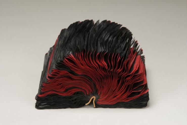 Illustration de l'article : Ses sculptures, Jacqueline Rush Lee les r&eacute;alise en transformant de vieux livres (15 photos)