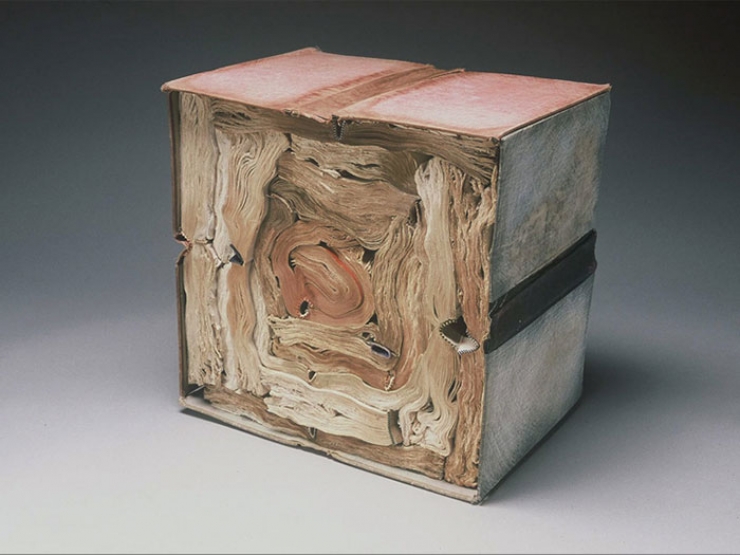 Illustration de l'article : Ses sculptures, Jacqueline Rush Lee les r&eacute;alise en transformant de vieux livres (15 photos)