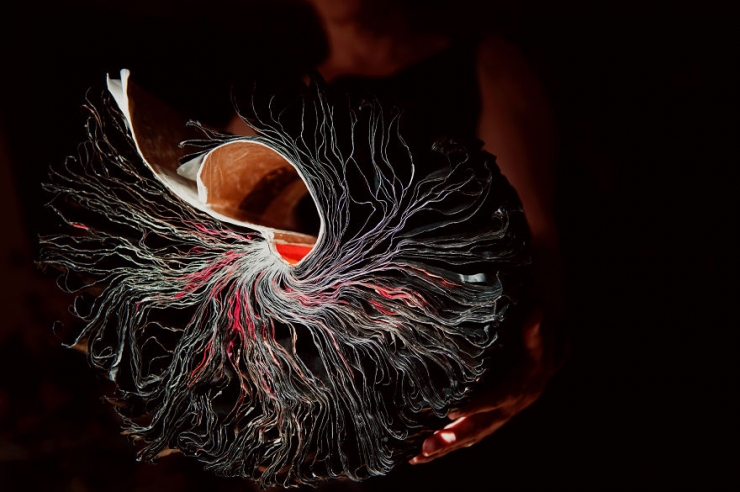 Illustration de l'article : Ses sculptures, Jacqueline Rush Lee les r&eacute;alise en transformant de vieux livres (15 photos)