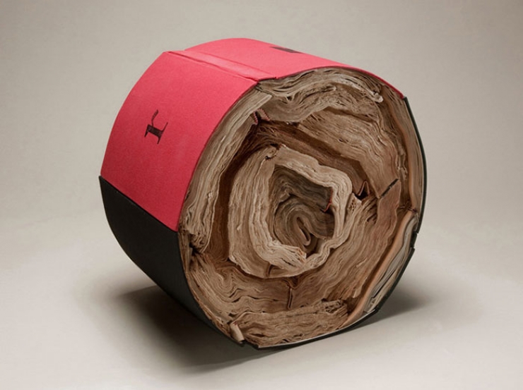 Illustration de l'article : Ses sculptures, Jacqueline Rush Lee les r&eacute;alise en transformant de vieux livres (15 photos)