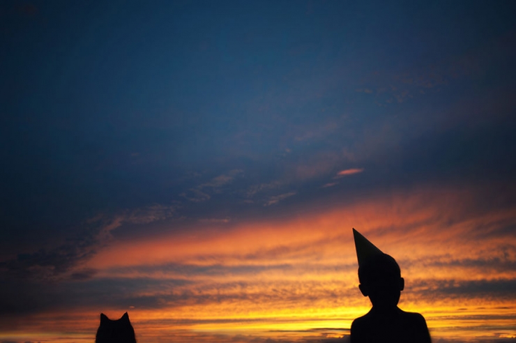 Illustration de l'article : Elle immortalise la superbe complicit&eacute; qui unit ses enfants et leurs chats