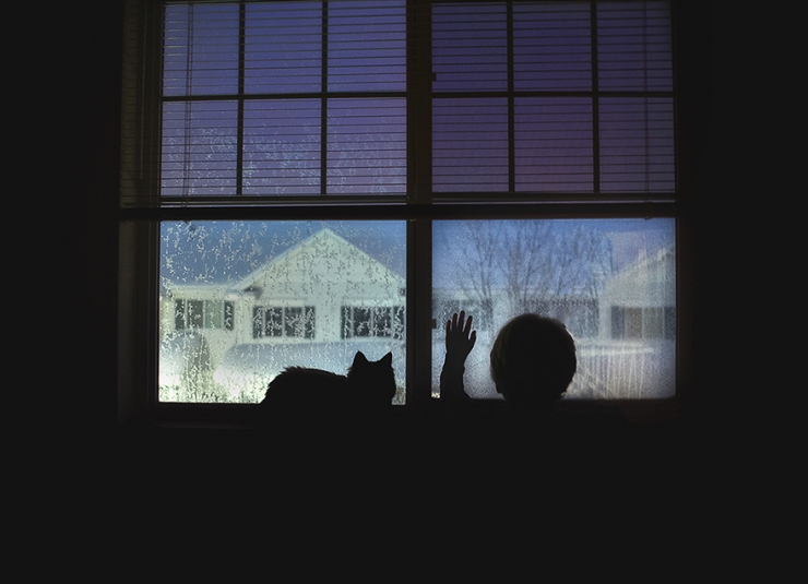 Illustration de l'article : Elle immortalise la superbe complicit&eacute; qui unit ses enfants et leurs chats