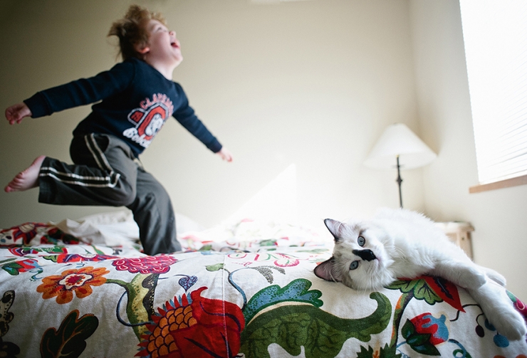 Illustration de l'article : Elle immortalise la superbe complicit&eacute; qui unit ses enfants et leurs chats