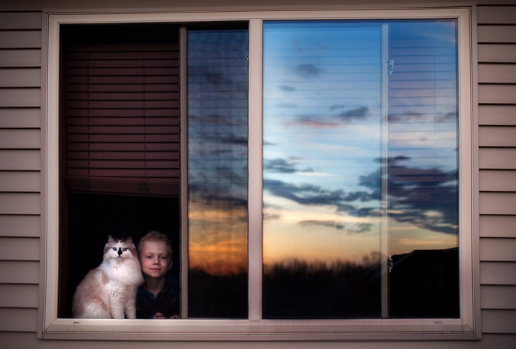 Illustration de l'article : Elle immortalise la superbe complicit&eacute; qui unit ses enfants et leurs chats