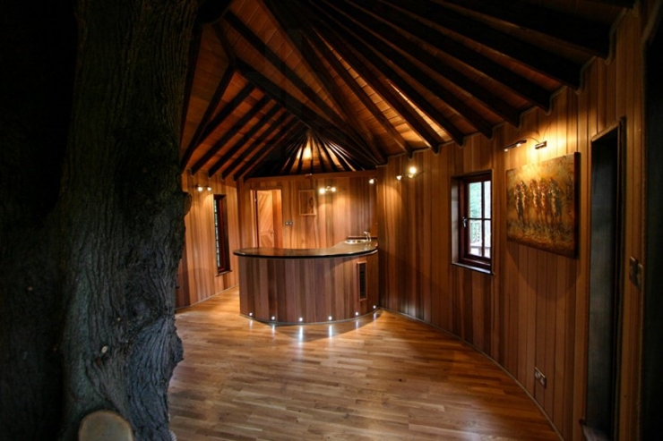 Illustration de l'article : Une vie de ch&acirc;teau... parmi les arbres