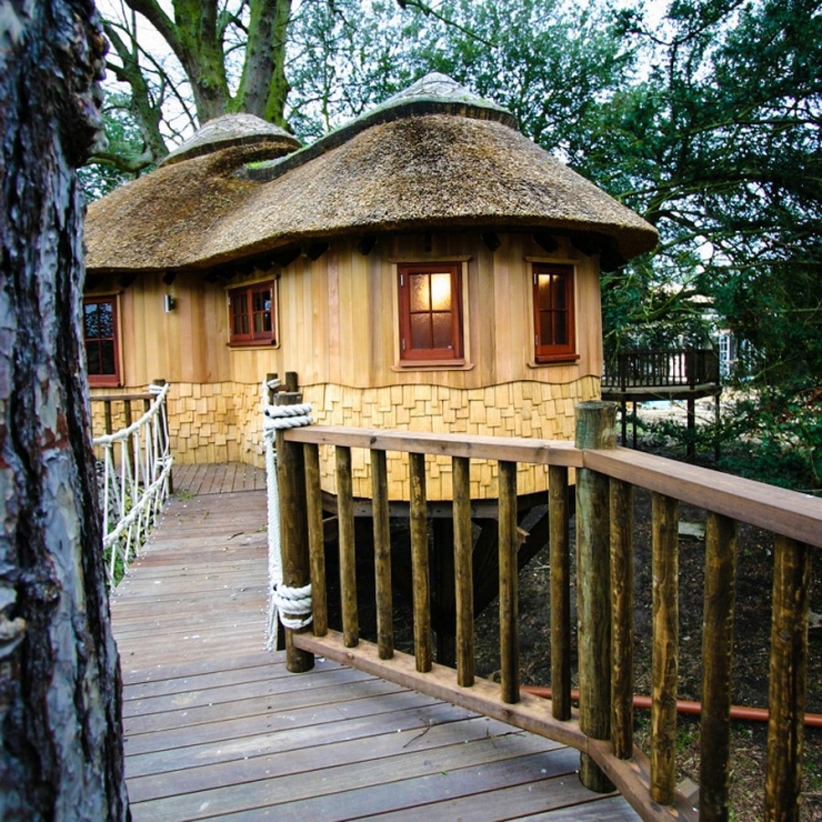 Illustration de l'article : Une vie de ch&acirc;teau... parmi les arbres