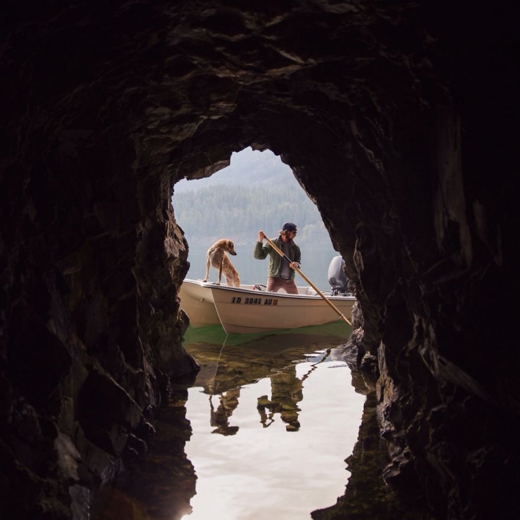 Illustration de l'article : Maddie, la chienne qui adore voyager aux c&ocirc;t&eacute;s de son photographe de ma&icirc;tre