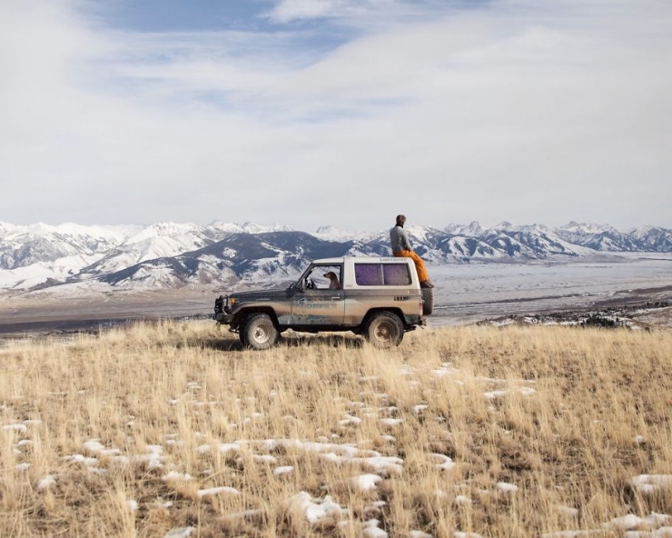 Illustration de l'article : Maddie, la chienne qui adore voyager aux c&ocirc;t&eacute;s de son photographe de ma&icirc;tre