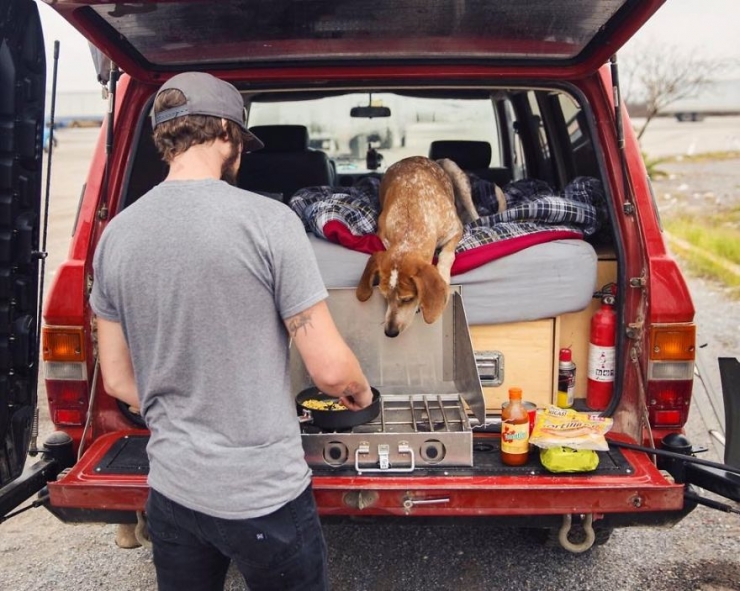 Illustration de l'article : Maddie, la chienne qui adore voyager aux c&ocirc;t&eacute;s de son photographe de ma&icirc;tre