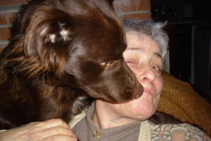 Illustration de l'article : Ce qu'ils ont trouv&eacute; dans ce sac &agrave; ordures est d&eacute;chirant, comment peut-on &ecirc;tre aussi m&eacute;chant ?