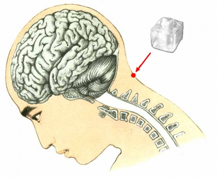 Illustration de l'article : Le simple fait de mettre des gla&ccedil;ons &agrave; cet endroit se r&eacute;v&egrave;le &ecirc;tre une astuce que tout le monde devrait conna&icirc;tre !  