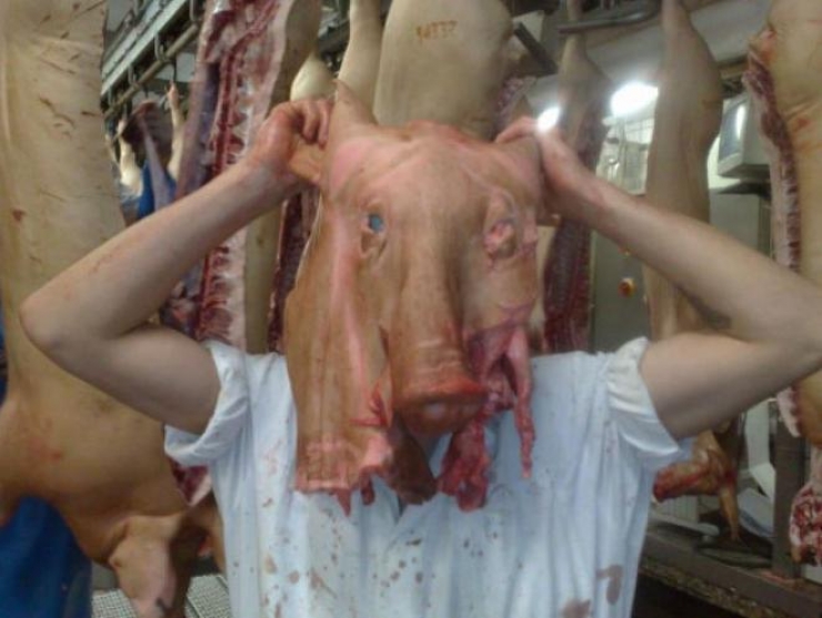 Illustration de l'article : 18 photos qui montrent que ce monde ne tourne vraiment plus très rond