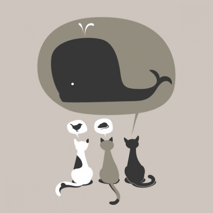 Illustration de l'article : La vie secr&egrave;te des chats d'apr&egrave;s Flyingmouse365