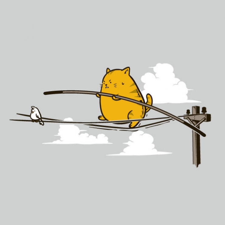 Illustration de l'article : La vie secr&egrave;te des chats d'apr&egrave;s Flyingmouse365