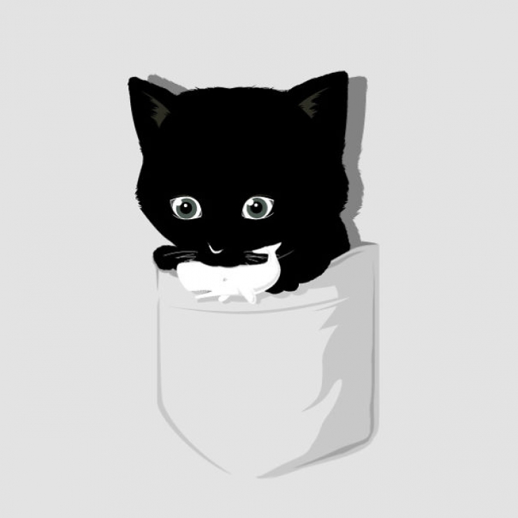 Illustration de l'article : La vie secr&egrave;te des chats d'apr&egrave;s Flyingmouse365