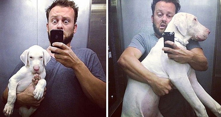 Illustration de l'article : Ne sachant pas combien de temps vivra le chien qu'il vient de sauver, il le prend en photo tous les jours...