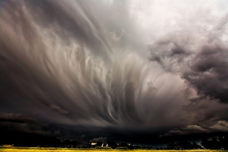 Illustration de l'article : Ce papa d&eacute;sesp&eacute;r&eacute; et ce pitbull abandonn&eacute; se sont mutuellement sauv&eacute;s