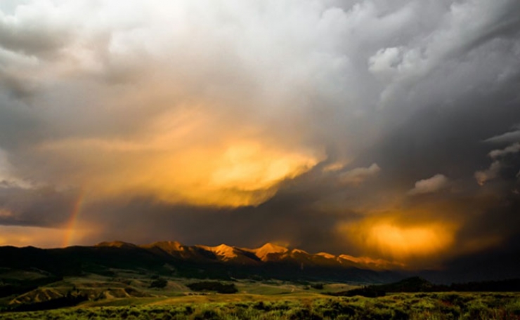 Illustration de l'article : Ce papa d&eacute;sesp&eacute;r&eacute; et ce pitbull abandonn&eacute; se sont mutuellement sauv&eacute;s