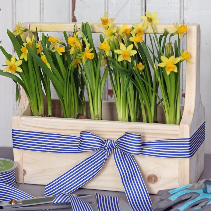 Illustration de l'article : Faites le plein de créativité avec ces 63 idées pour votre jardin !