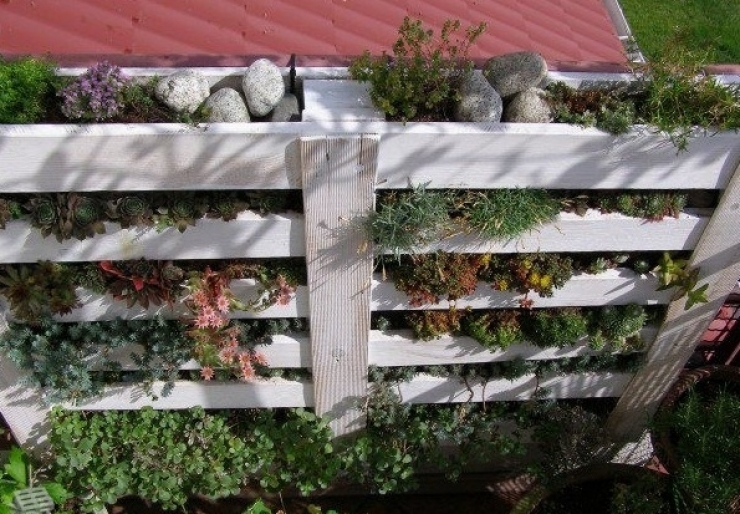 Illustration de l'article : Faites le plein de créativité avec ces 63 idées pour votre jardin !