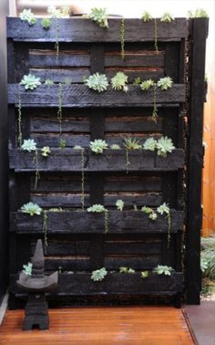 Illustration de l'article : Faites le plein de créativité avec ces 63 idées pour votre jardin !