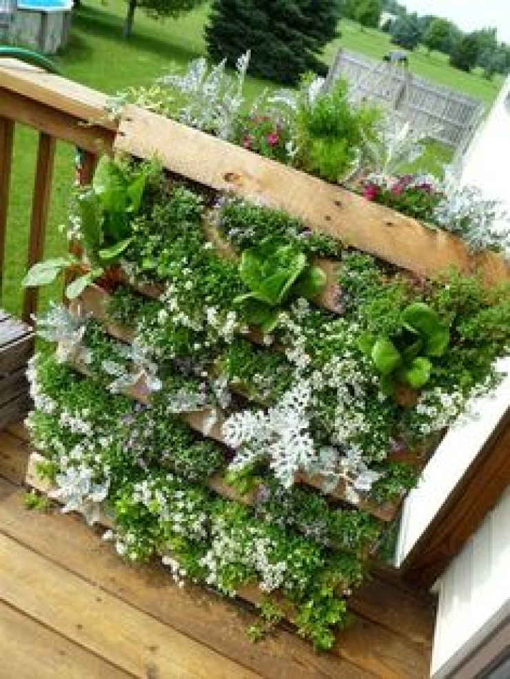 Illustration de l'article : Faites le plein de créativité avec ces 63 idées pour votre jardin !