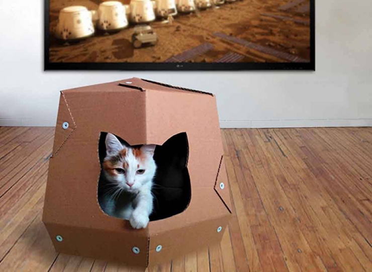 Illustration de l'article : Des maisons en carton con&ccedil;ues sp&eacute;cialement pour les chats !  Une id&eacute;e lumineuse...