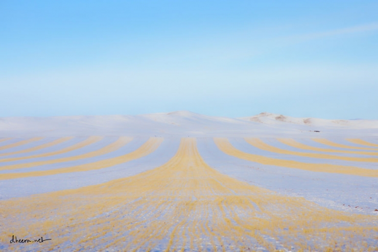 Illustration de l'article : Cap sur la beaut&eacute; hivernale de la Mongolie...