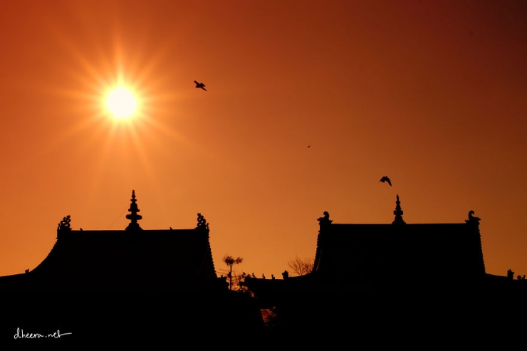 Illustration de l'article : Cap sur la beaut&eacute; hivernale de la Mongolie...
