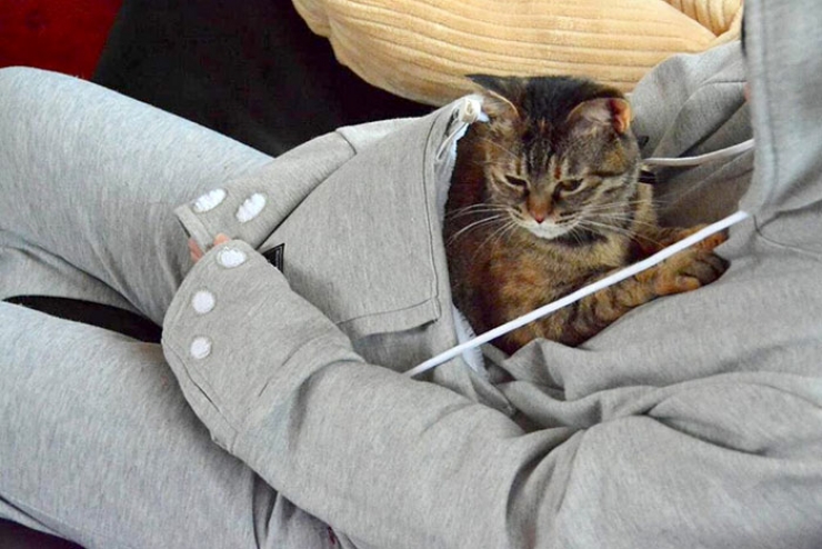 Mewgaroo Le Sweat Shirt Qui Vous Permet De Garder Votre Chat Pres De Vous En Permanence Mewgaroo Le Sweat Shirt Qui Vous Permet De Garder Votre Chat Pres De Vous En Permanence