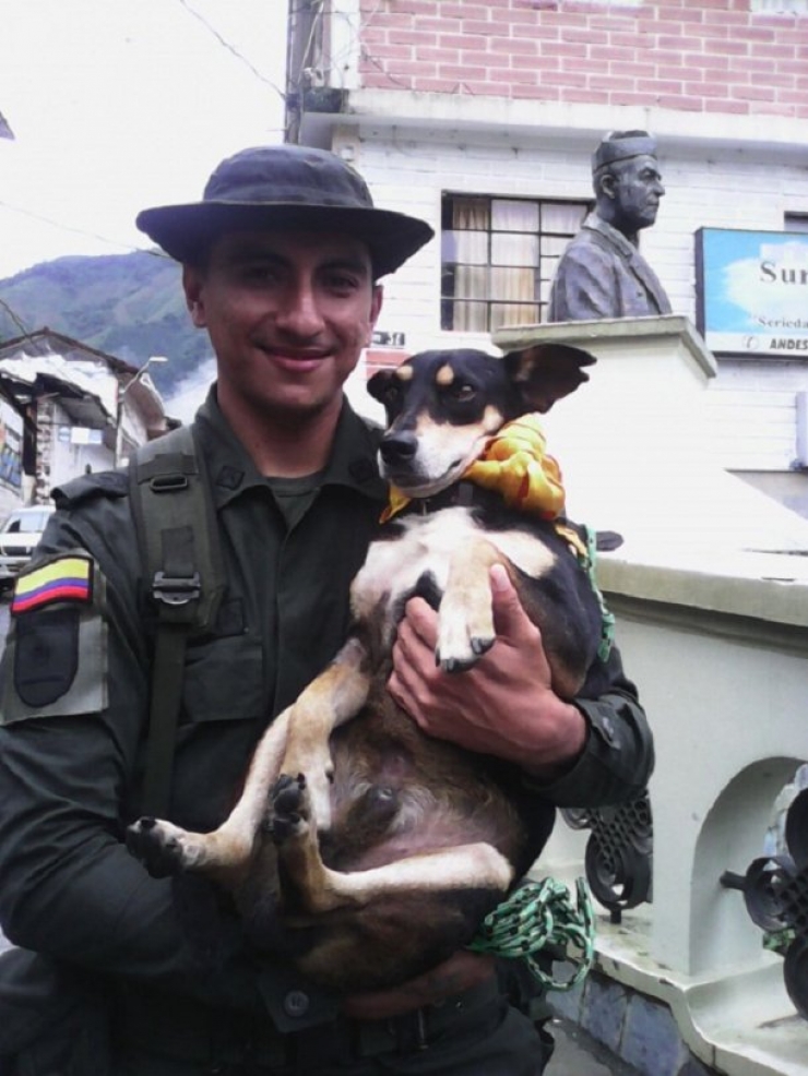 Illustration de l'article : Un policier colombien sauve la vie d'un chien emporté par un puissant torrent