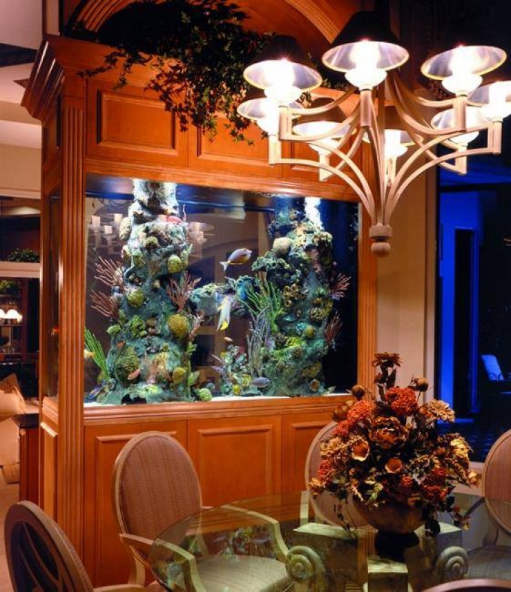 Illustration de l'article : 18 aquariums originaux qu'on r&ecirc;verait tous d'avoir &agrave; la maison&hellip;   