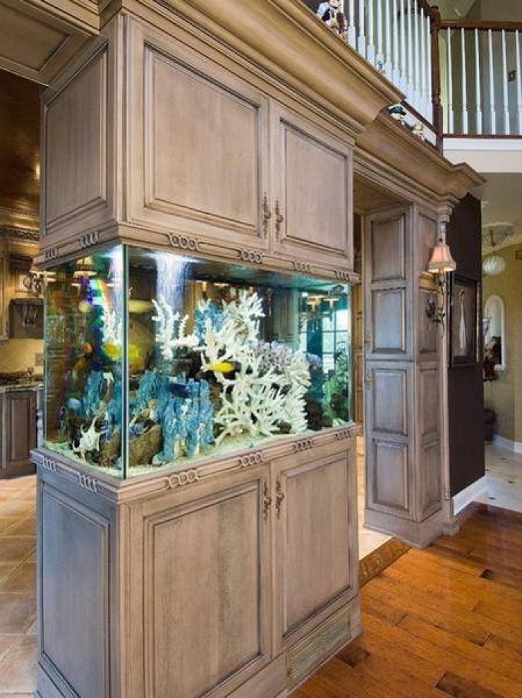 Illustration de l'article : 18 aquariums originaux qu'on r&ecirc;verait tous d'avoir &agrave; la maison&hellip;   
