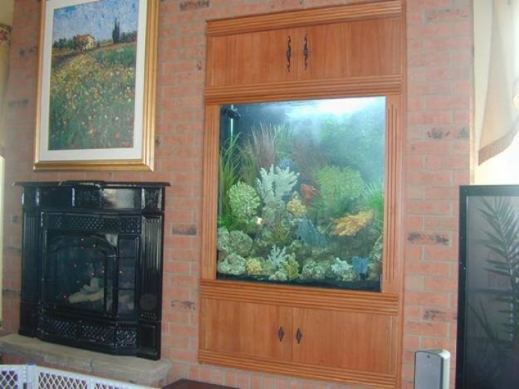 Illustration de l'article : 18 aquariums originaux qu'on r&ecirc;verait tous d'avoir &agrave; la maison&hellip;   