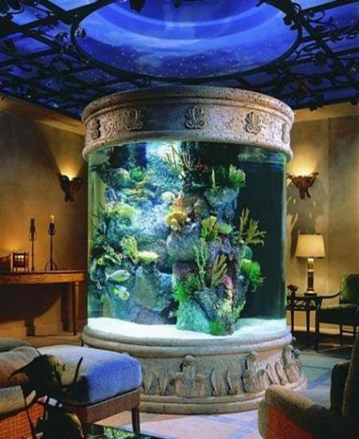 Illustration de l'article : 18 aquariums originaux qu'on r&ecirc;verait tous d'avoir &agrave; la maison&hellip;   