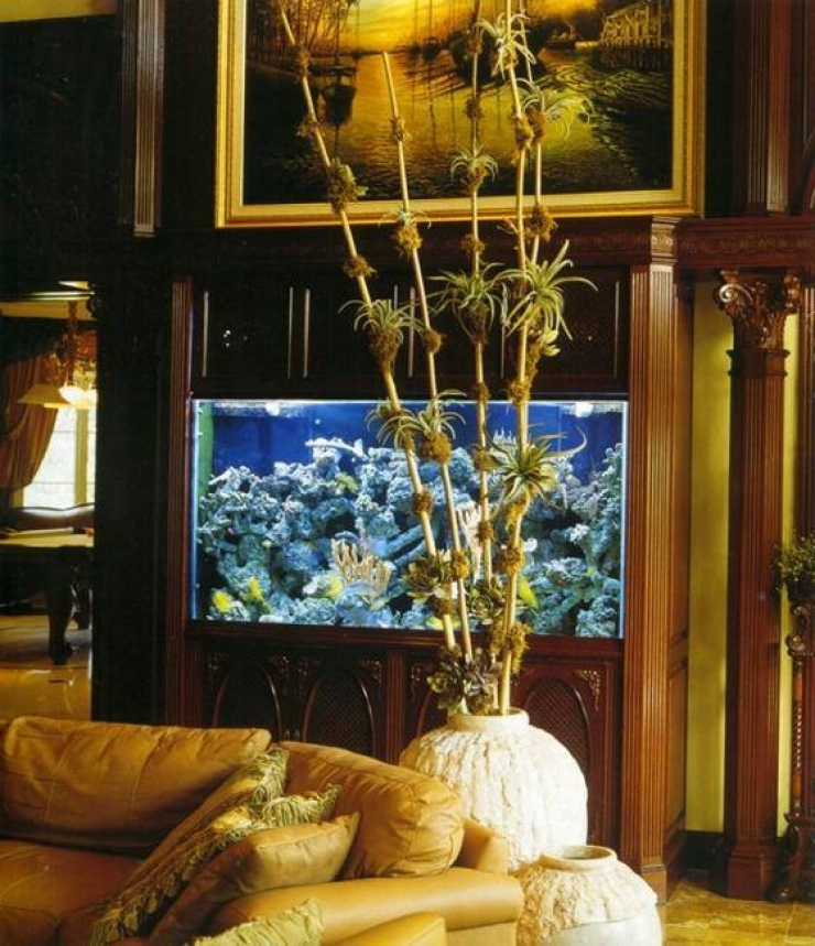 Illustration de l'article : 18 aquariums originaux qu'on r&ecirc;verait tous d'avoir &agrave; la maison&hellip;   