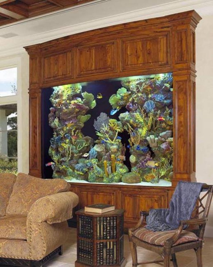 Illustration de l'article : 18 aquariums originaux qu'on r&ecirc;verait tous d'avoir &agrave; la maison&hellip;   