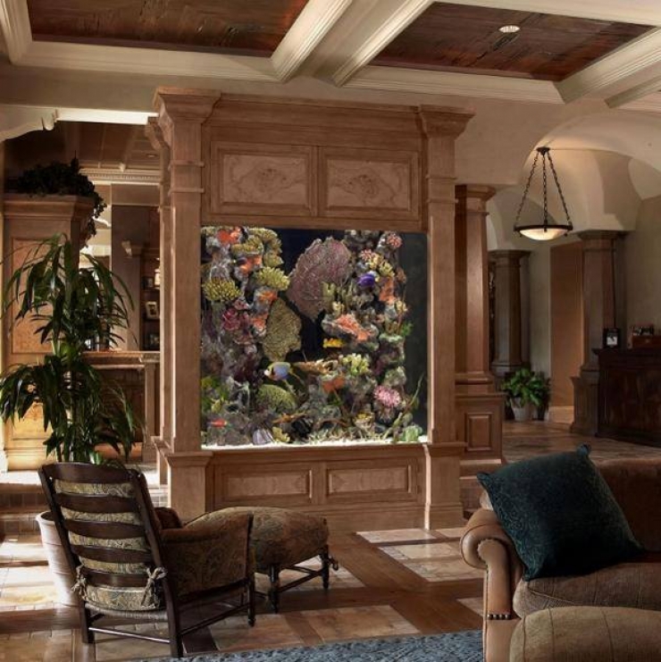 Illustration de l'article : 18 aquariums originaux qu'on r&ecirc;verait tous d'avoir &agrave; la maison&hellip;   