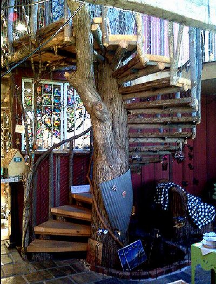 Illustration de l'article : Vous r&ecirc;viez d'avoir un arbre chez vous ? Cette s&eacute;lection est pour vous !