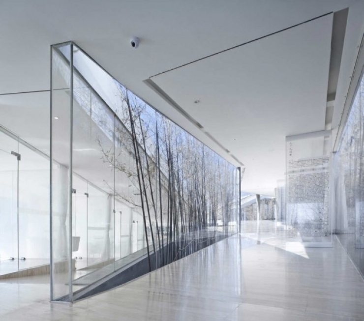 Illustration de l'article : Vous r&ecirc;viez d'avoir un arbre chez vous ? Cette s&eacute;lection est pour vous !