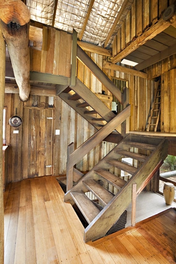 Illustration de l'article : Vous r&ecirc;viez d'avoir un arbre chez vous ? Cette s&eacute;lection est pour vous !