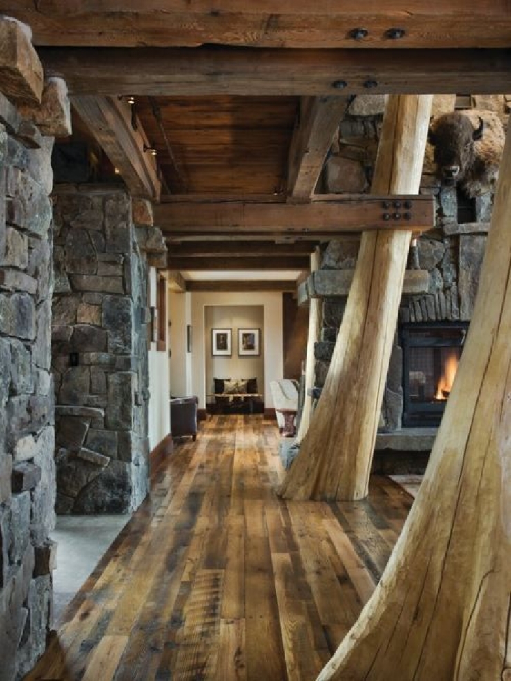 Illustration de l'article : Vous r&ecirc;viez d'avoir un arbre chez vous ? Cette s&eacute;lection est pour vous !