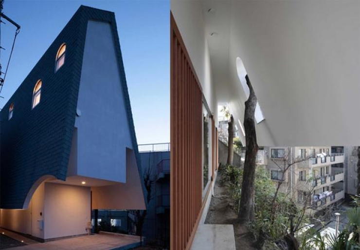 Illustration de l'article : Vous r&ecirc;viez d'avoir un arbre chez vous ? Cette s&eacute;lection est pour vous !